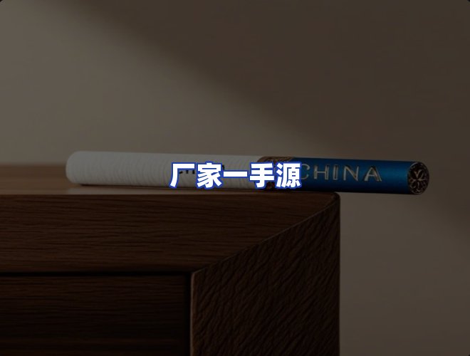 专业团队
